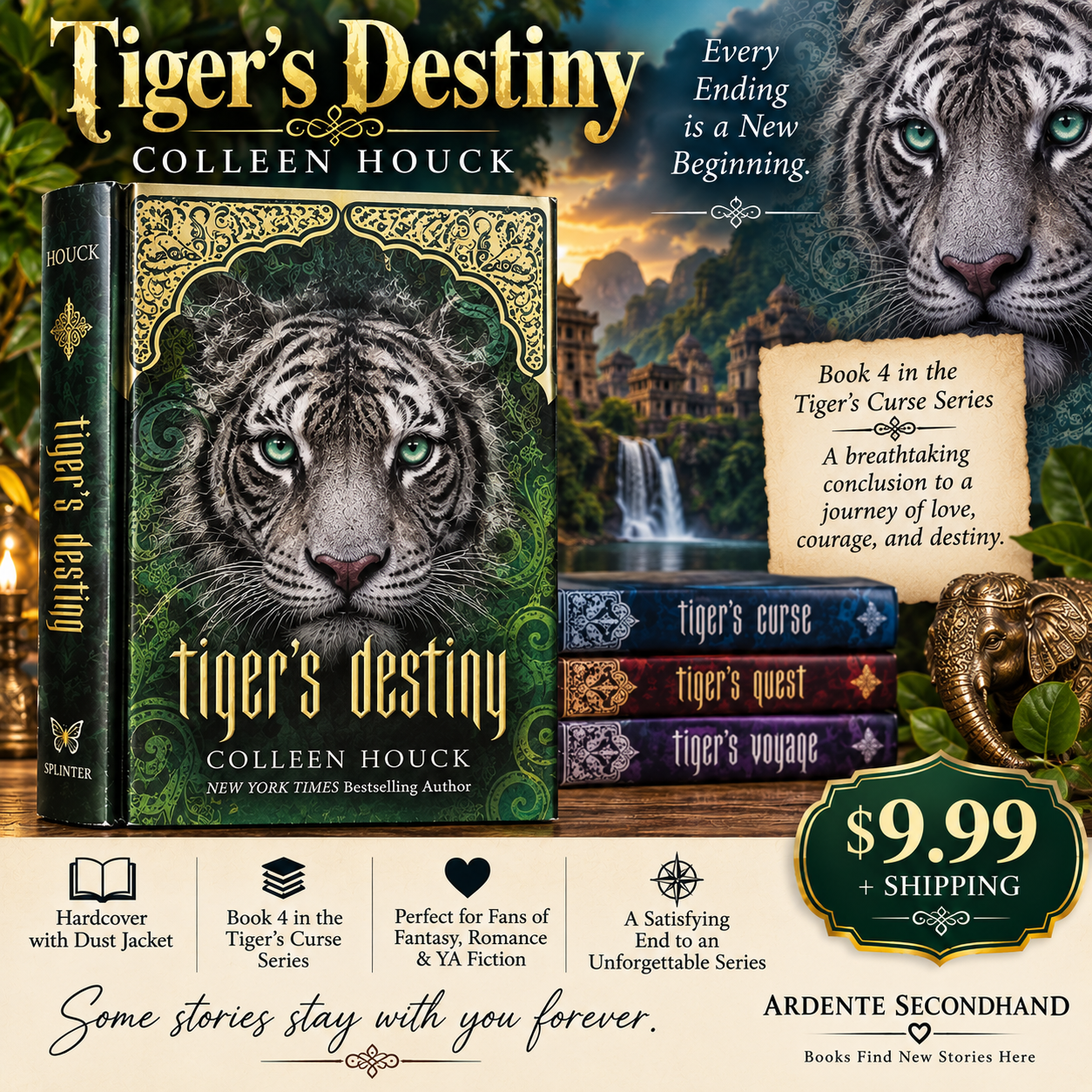 Tiger’s Destiny book listing image